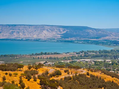 איך הקורונה שינתה את האופן שבו אנחנו משכירים וילות וצימרים