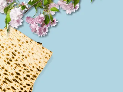 קניות אונליין לפסח - איפה ואיך קונים מתנות לפסח בזול ובמהירות?