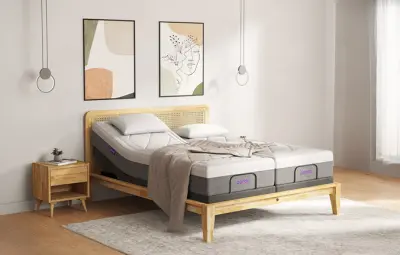 לקנות 30% הנחה על כל האתר בחנות  PandaZzz - פנדה