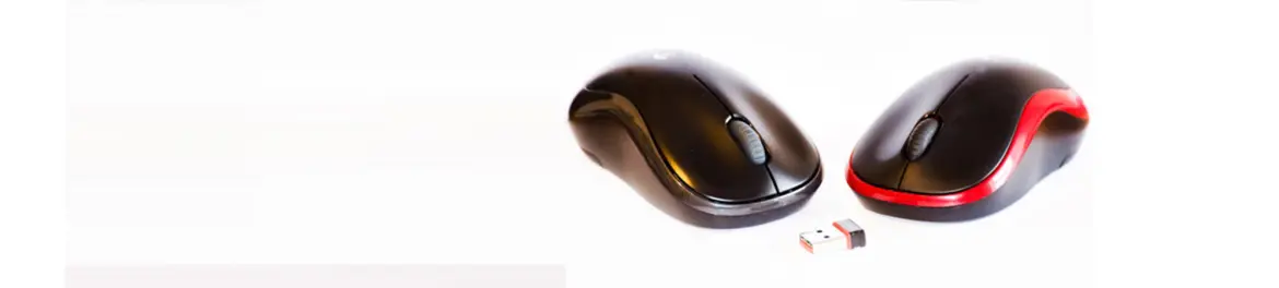 CNDirect עד 5% החזר כספי