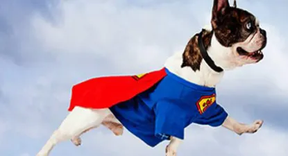 Halloween Costumes -  5% החזר כספי