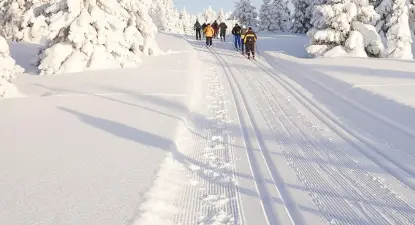 Viator -  4% החזר כספי