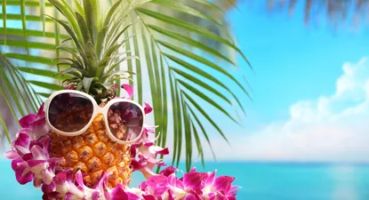 eDreams - עד 4% החזר כספי