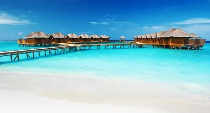 Flight Network -  1.5% החזר כספי