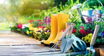 צור מרקט -  6% החזר כספי