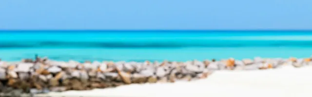 מתחם החופש הגדול